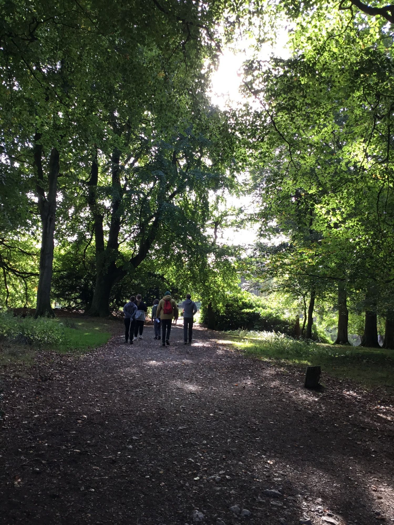 A group of people walking along a path through trees